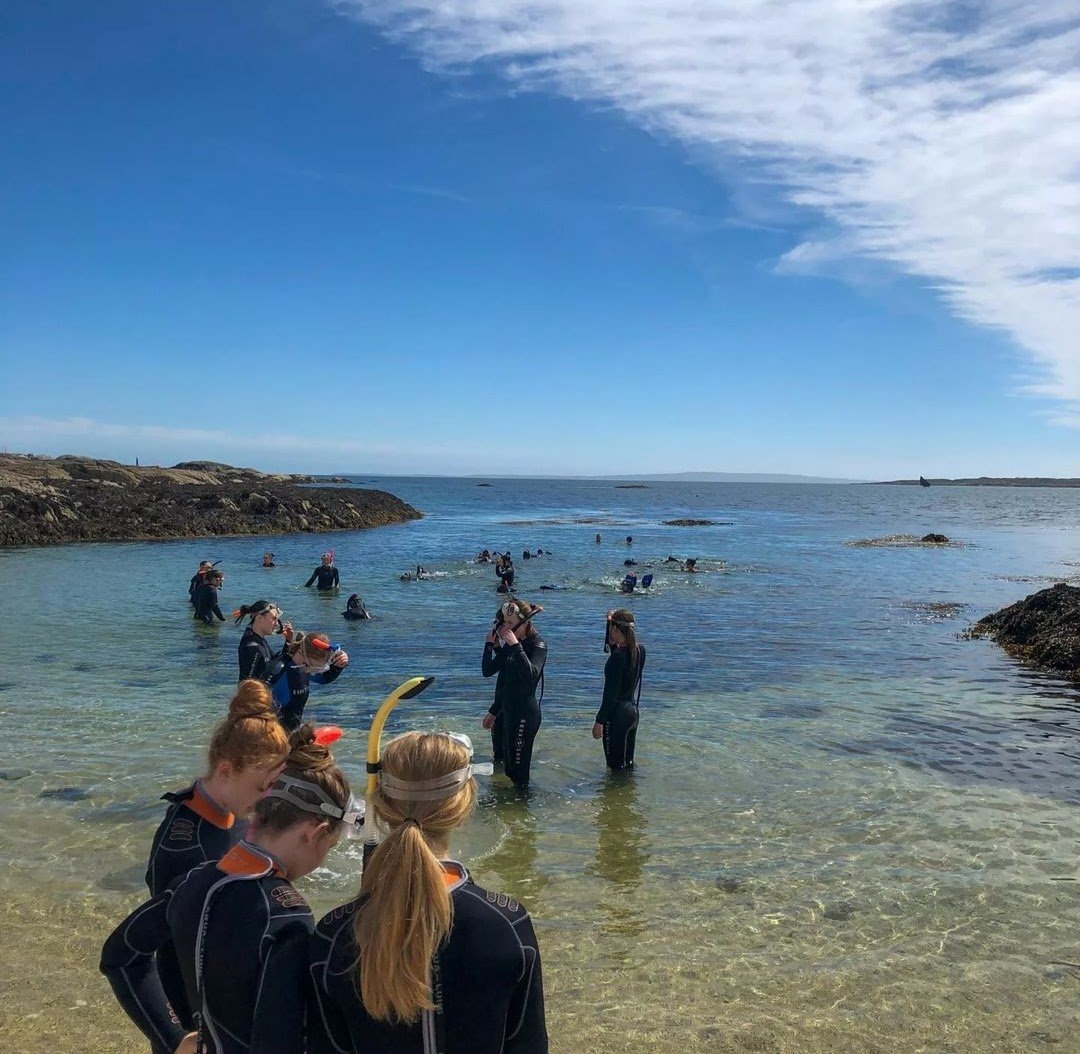 snorkeling group at shore