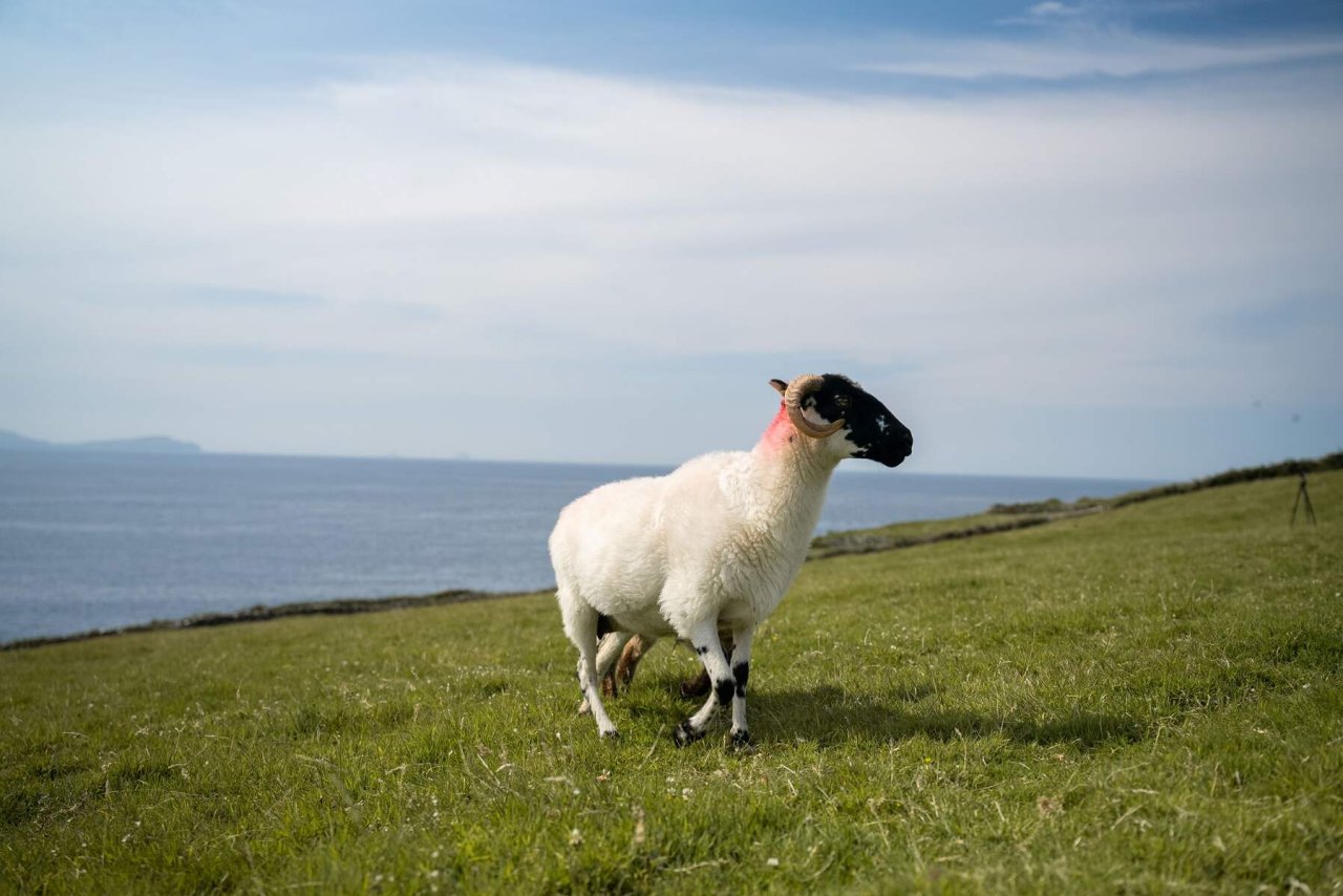 Deros Tours Slea Head