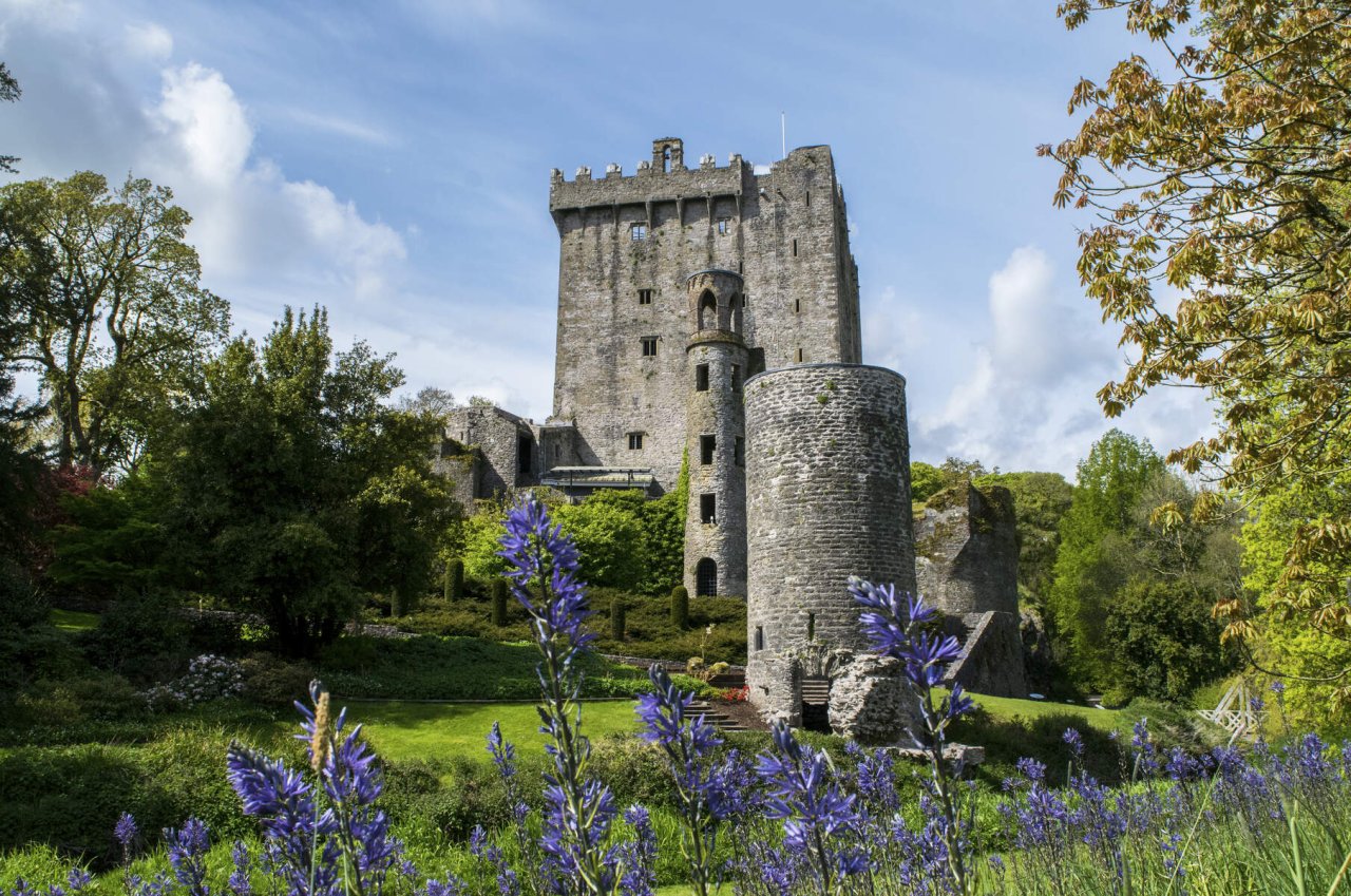 stone castle behind garden with purple flowers